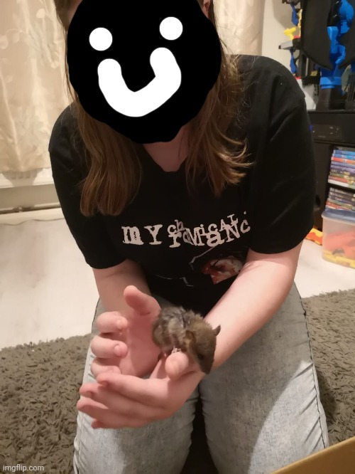 We saved a mouse lol but it jumped out of my hand lmfao I had to do the creepy face drawing lol don't ask why | image tagged in mouse | made w/ Imgflip meme maker