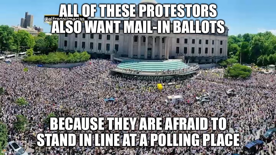 Standing in line to vote is UNSAFE, | ALL OF THESE PROTESTORS ALSO WANT MAIL-IN BALLOTS; BECAUSE THEY ARE AFRAID TO STAND IN LINE AT A POLLING PLACE | image tagged in brooklyn,protest,voting | made w/ Imgflip meme maker