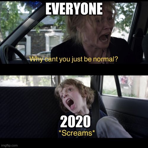 why can't you be normal | EVERYONE; 2020 | image tagged in why can't you be normal | made w/ Imgflip meme maker