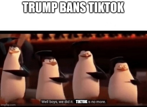 Well boys, we did it (blank) is no more | TRUMP BANS TIKTOK; TIKTOK | image tagged in well boys we did it blank is no more | made w/ Imgflip meme maker