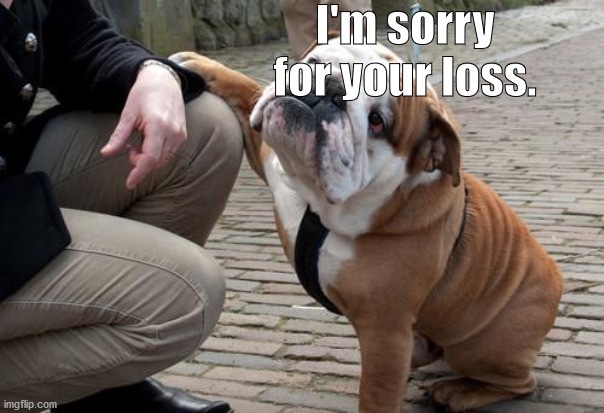 Sympathetic Bulldog | I'm sorry for your loss. | image tagged in sympathetic bulldog | made w/ Imgflip meme maker