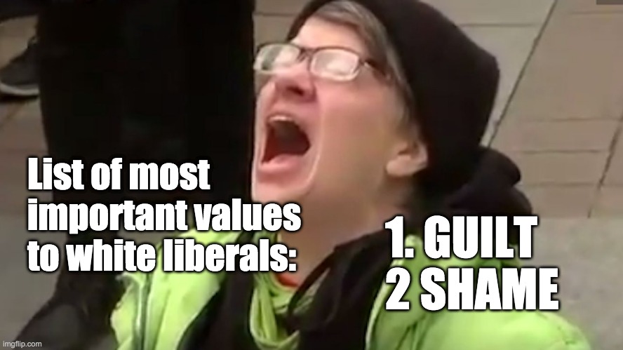 White Liberal Values | List of most important values to white liberals:; 1. GUILT
2 SHAME | image tagged in screaming liberal,angry liberal,triggered liberal,trump derangement syndrome,mainstream media,white privilege | made w/ Imgflip meme maker