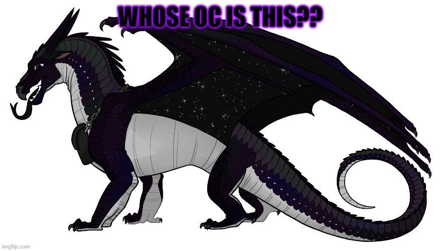 MOONWATCHER | WHOSE OC IS THIS?? | image tagged in moonwatcher | made w/ Imgflip meme maker