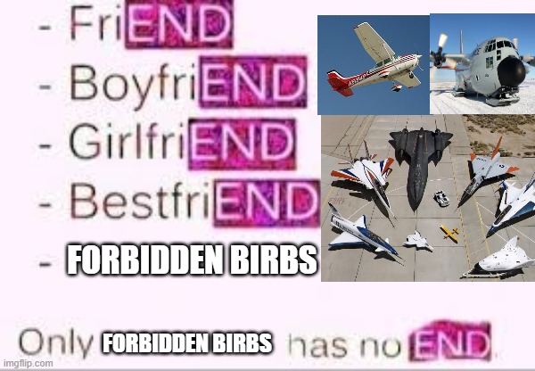 new internet term: aircraft=forbidden birbs | FORBIDDEN BIRBS; FORBIDDEN BIRBS | image tagged in has no end | made w/ Imgflip meme maker