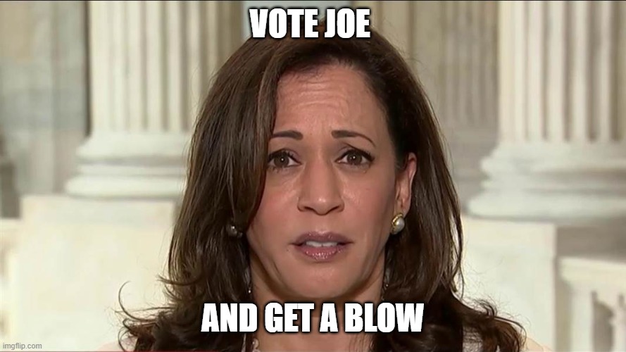 kamala harris | VOTE JOE; AND GET A BLOW | image tagged in kamala harris | made w/ Imgflip meme maker