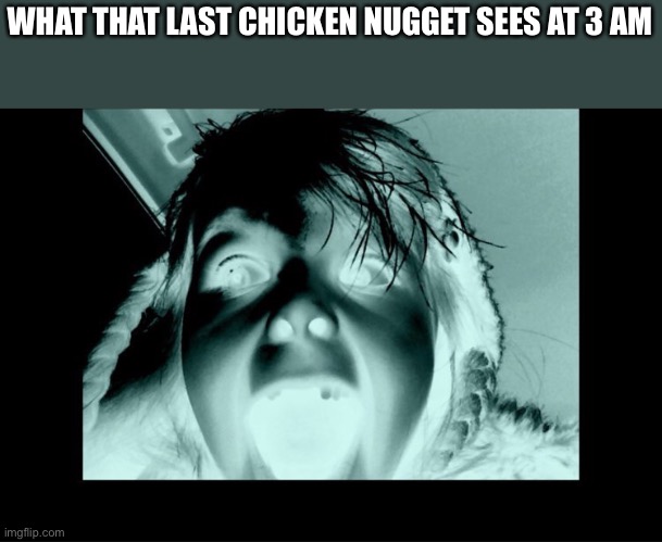 WHAT THAT LAST CHICKEN NUGGET SEES AT 3 AM | image tagged in chicken nuggets | made w/ Imgflip meme maker