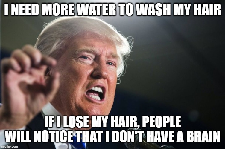 He don't care about the planet and his hair are ugly anyway | I NEED MORE WATER TO WASH MY HAIR; IF I LOSE MY HAIR, PEOPLE WILL NOTICE THAT I DON'T HAVE A BRAIN | image tagged in donald trump,water,hair,stupidity,brain,environment | made w/ Imgflip meme maker