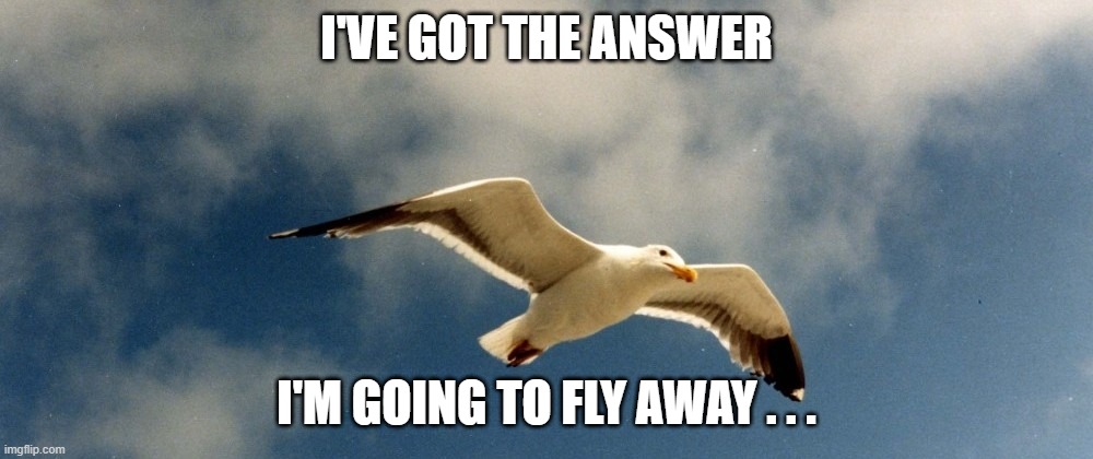 i've got the answer | I'VE GOT THE ANSWER; I'M GOING TO FLY AWAY . . . | image tagged in mems | made w/ Imgflip meme maker