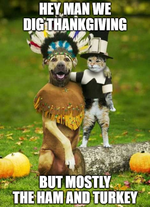 Thanksgiving | HEY MAN WE DIG THANKGIVING; BUT MOSTLY THE HAM AND TURKEY | image tagged in cats,memes,fun,funny,dogs,2020 | made w/ Imgflip meme maker