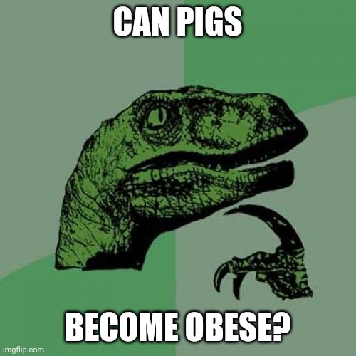 Philosoraptor | CAN PIGS; BECOME OBESE? | image tagged in memes,philosoraptor,pig | made w/ Imgflip meme maker