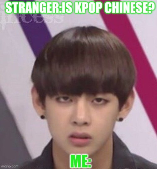 KPOP!!! | STRANGER:IS KPOP CHINESE? ME: | image tagged in bts v | made w/ Imgflip meme maker