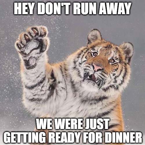 Happens all the time | HEY DON'T RUN AWAY; WE WERE JUST GETTING READY FOR DINNER | image tagged in cats,tigets,2020,memes,funny,fun | made w/ Imgflip meme maker