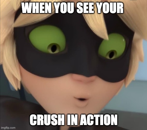Me likey. | WHEN YOU SEE YOUR; CRUSH IN ACTION | image tagged in miraculous ladybug,funny,funny memes | made w/ Imgflip meme maker