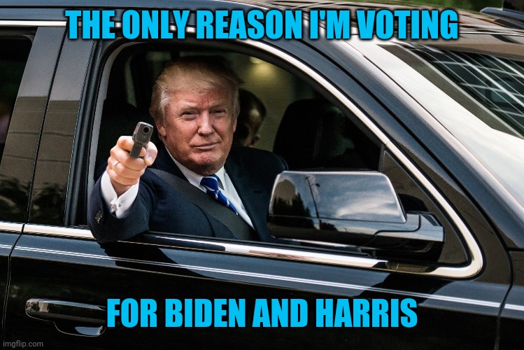 don trump | THE ONLY REASON I'M VOTING; FOR BIDEN AND HARRIS | image tagged in liar,cheat,racist,rapist,traitor,dementia | made w/ Imgflip meme maker