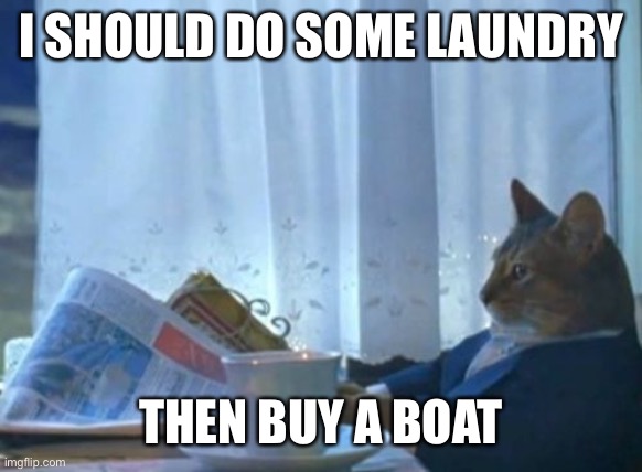 I Should Buy A Boat Cat | I SHOULD DO SOME LAUNDRY; THEN BUY A BOAT | image tagged in memes,i should buy a boat cat | made w/ Imgflip meme maker