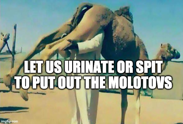 Camel urine | LET US URINATE OR SPIT TO PUT OUT THE MOLOTOVS | image tagged in camel urine | made w/ Imgflip meme maker