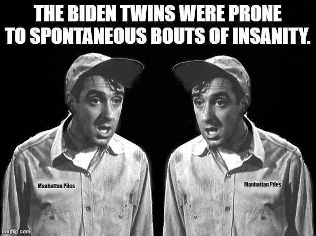 What it must be like to have a TDS affected brain. It must feel like permanent Haemorrhoids that stay inflamed and never go away | THE BIDEN TWINS WERE PRONE TO SPONTANEOUS BOUTS OF INSANITY. | image tagged in manhattan has trump derangement syndrome,biden twins,insanity | made w/ Imgflip meme maker