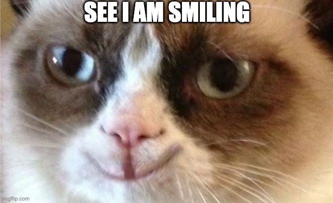 see I am smiling | SEE I AM SMILING | image tagged in grumpy cat happy,memes | made w/ Imgflip meme maker