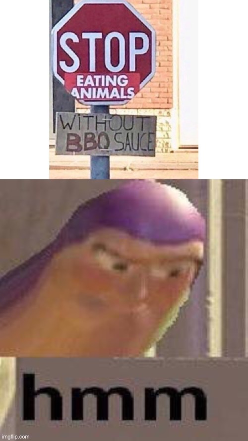 Good soldiers follow orders | image tagged in buzz lightyear hmm | made w/ Imgflip meme maker