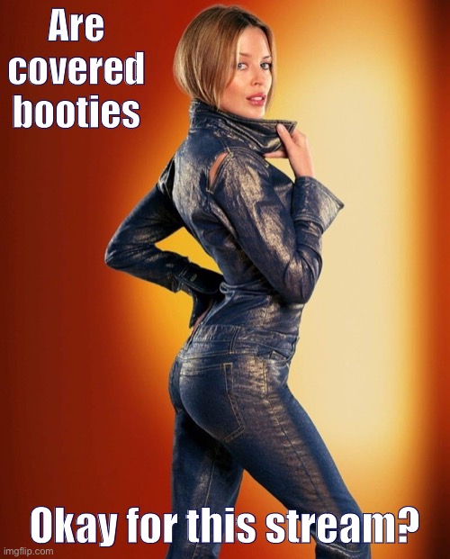 Testing testing 123 | Are covered booties; Okay for this stream? | image tagged in kylie jeans booty,testing,booty,jeans,ass,sexy | made w/ Imgflip meme maker