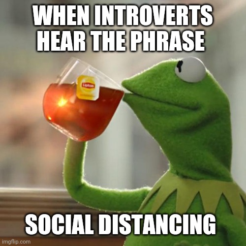 But That's None Of My Business | WHEN INTROVERTS HEAR THE PHRASE; SOCIAL DISTANCING | image tagged in memes,but that's none of my business,kermit the frog | made w/ Imgflip meme maker