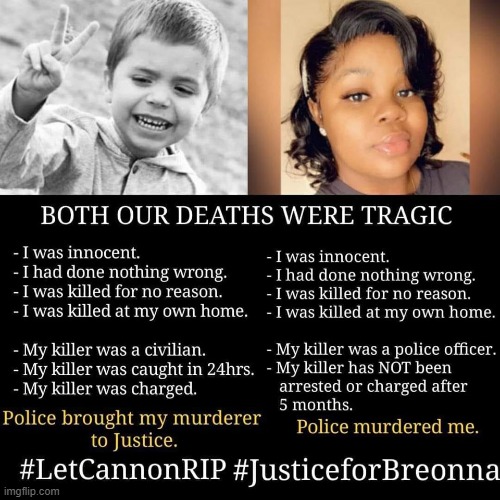 Justice for Breonna Taylor | image tagged in conservatives,mainstream media,black lives matter,police brutality,cannon,cannon hinnant | made w/ Imgflip meme maker