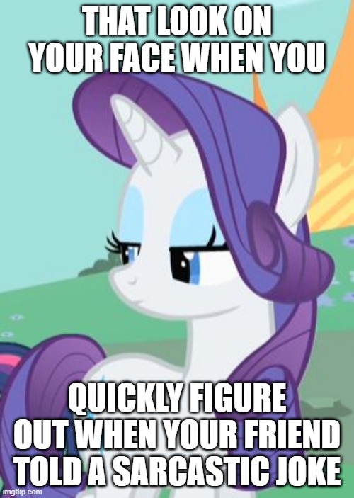 My Little Pony Rarity Sarcastic | THAT LOOK ON YOUR FACE WHEN YOU; QUICKLY FIGURE OUT WHEN YOUR FRIEND TOLD A SARCASTIC JOKE | image tagged in my little pony rarity sarcastic | made w/ Imgflip meme maker