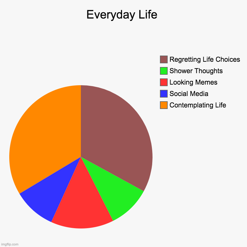 Everyday Life | Contemplating Life, Social Media, Looking Memes, Shower Thoughts , Regretting Life Choices | image tagged in charts,pie charts | made w/ Imgflip chart maker