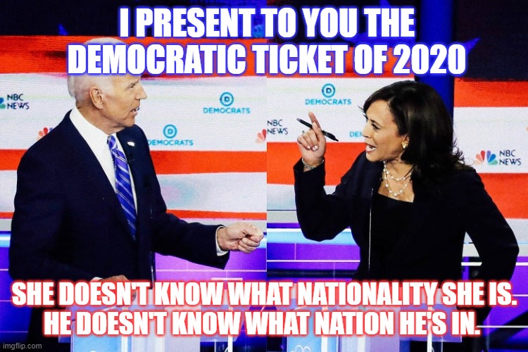 Demorats 2020 | I PRESENT TO YOU THE DEMOCRATIC TICKET OF 2020; SHE DOESN'T KNOW WHAT NATIONALITY SHE IS.
HE DOESN'T KNOW WHAT NATION HE'S IN. | image tagged in human stupidity | made w/ Imgflip meme maker