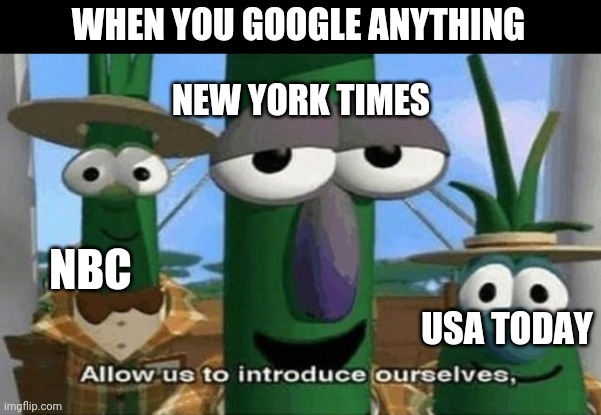 Allow Us to Introduce Ourselves | NEW YORK TIMES; WHEN YOU GOOGLE ANYTHING; NBC; USA TODAY | image tagged in allow us to introduce ourselves | made w/ Imgflip meme maker