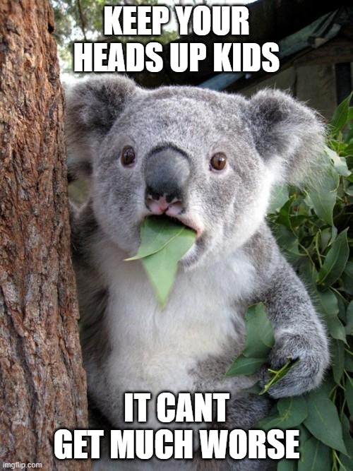 Surprised Koala | KEEP YOUR HEADS UP KIDS; IT CANT GET MUCH WORSE | image tagged in memes,surprised koala,adult | made w/ Imgflip meme maker