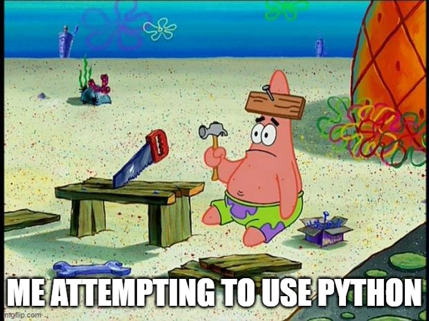 Patrick  | ME ATTEMPTING TO USE PYTHON | image tagged in patrick | made w/ Imgflip meme maker