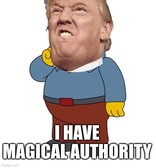 How many in his own administration have to tell you he’s a lunatic before you listen? | I HAVE MAGICAL AUTHORITY | image tagged in miles taylor,donald trump is an idiot,ralph wiggum | made w/ Imgflip meme maker