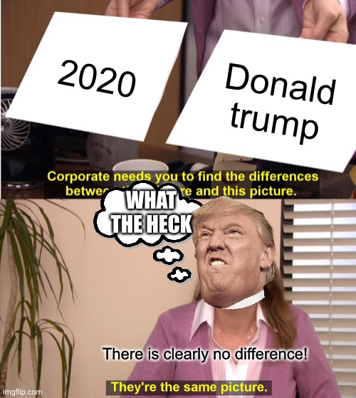 They're The Same Picture Meme | 2020; Donald trump; WHAT THE HECK; There is clearly no difference! | image tagged in memes,they're the same picture | made w/ Imgflip meme maker