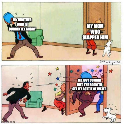 Y THO | MY MOM WHO SLAPPED HIM; MY BROTHER WHO IS CURRENTLY ANGRY; ME JUST COMING INTO THE ROOM TO GET MY BOTTLE OF WATER | image tagged in tintin | made w/ Imgflip meme maker