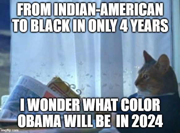 Some people never change | FROM INDIAN-AMERICAN TO BLACK IN ONLY 4 YEARS; I WONDER WHAT COLOR OBAMA WILL BE  IN 2024 | image tagged in memes,i should buy a boat cat | made w/ Imgflip meme maker