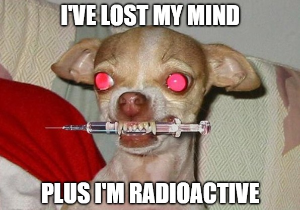 Lockdowns are hard on dogs too | I'VE LOST MY MIND; PLUS I'M RADIOACTIVE | image tagged in dogs,memes,fun,funny,2020,radioactive | made w/ Imgflip meme maker