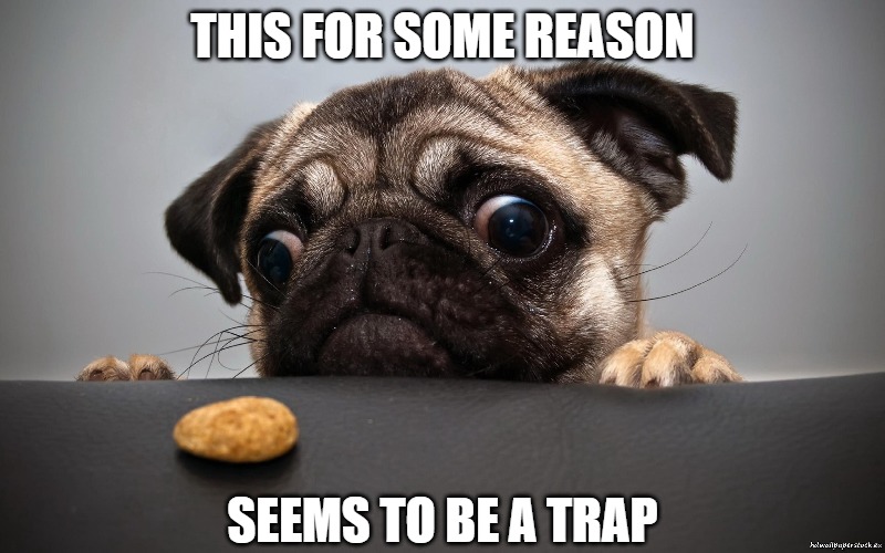 I'll eat it anyway | THIS FOR SOME REASON; SEEMS TO BE A TRAP | image tagged in dogs,traps,memes,fun,funny,2020 | made w/ Imgflip meme maker