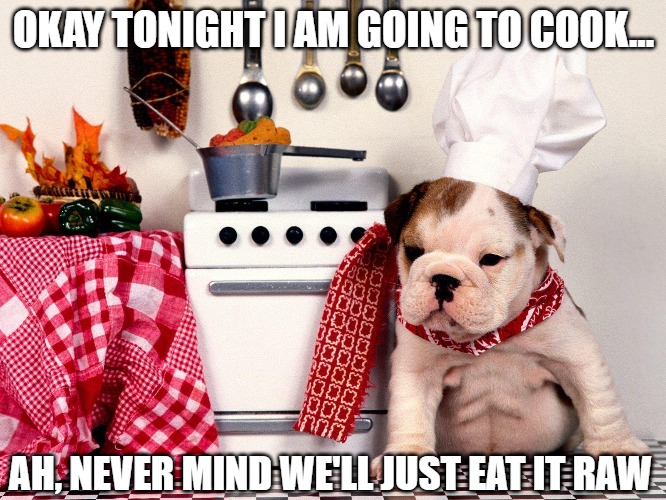 Dogs are the worst cooks | OKAY TONIGHT I AM GOING TO COOK... AH, NEVER MIND WE'LL JUST EAT IT RAW | image tagged in dogs,cooks,fun,funny,memes,2020 | made w/ Imgflip meme maker