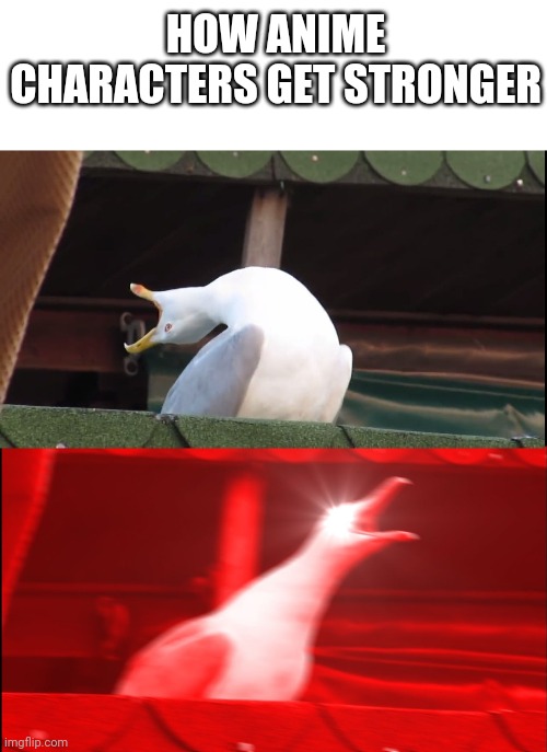 Screaming bird | HOW ANIME CHARACTERS GET STRONGER | image tagged in screaming bird | made w/ Imgflip meme maker