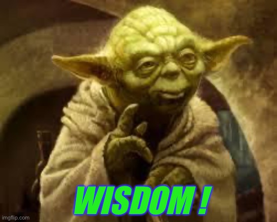 yoda | WISDOM ! | image tagged in yoda | made w/ Imgflip meme maker