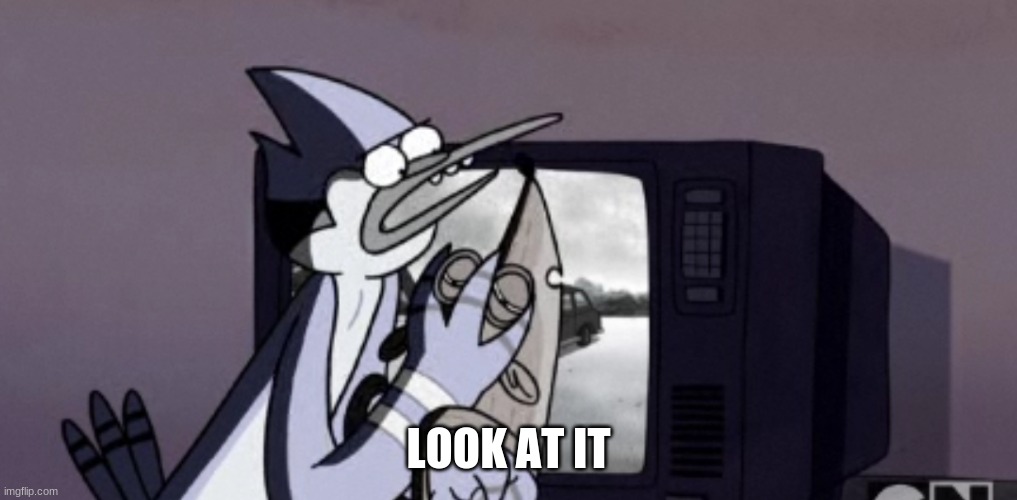 LOOK AT IT Regular Show | LOOK AT IT | image tagged in regular show,look,mordecai,rigby,cartoon network,memes | made w/ Imgflip meme maker