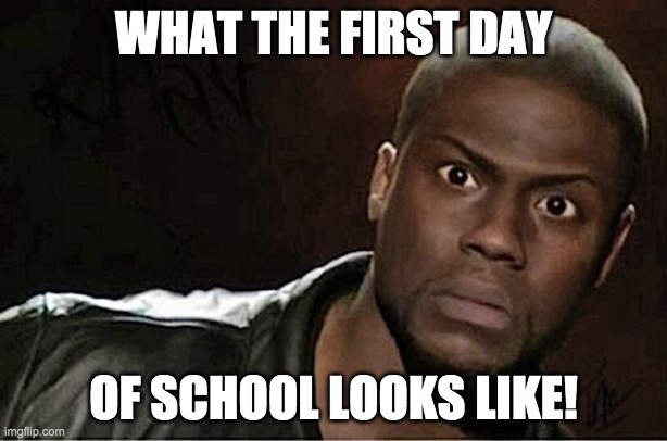 Kevin Hart Meme | WHAT THE FIRST DAY; OF SCHOOL LOOKS LIKE! | image tagged in memes,kevin hart | made w/ Imgflip meme maker