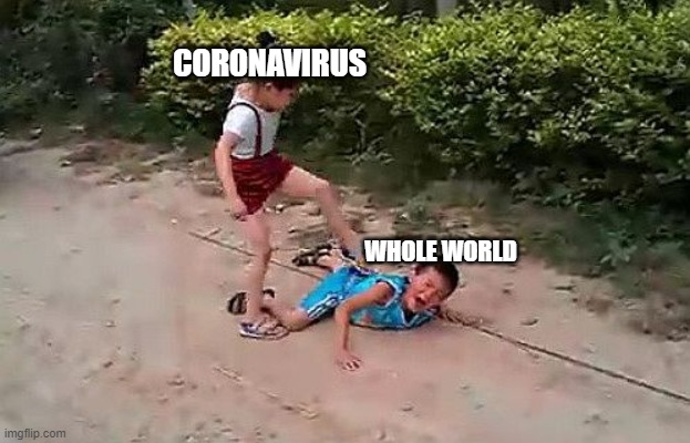 fight | CORONAVIRUS; WHOLE WORLD | image tagged in fight | made w/ Imgflip meme maker