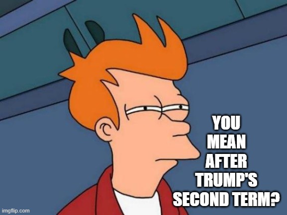 Futurama Fry Meme | YOU MEAN AFTER TRUMP'S SECOND TERM? | image tagged in memes,futurama fry | made w/ Imgflip meme maker