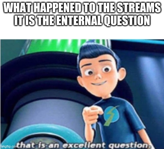 that is an excellent question | WHAT HAPPENED TO THE STREAMS
IT IS THE ENTERNAL QUESTION | image tagged in that is an excellent question | made w/ Imgflip meme maker