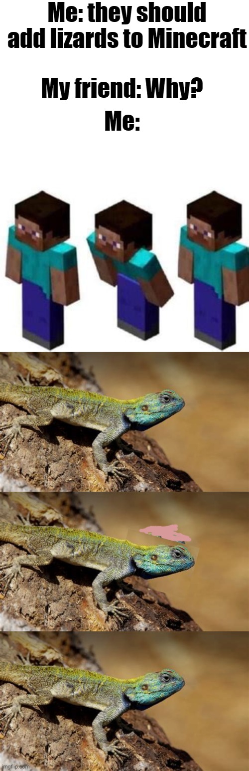 They actually do it though... | Me: they should add lizards to Minecraft; My friend: Why? Me: | image tagged in blank white template | made w/ Imgflip meme maker