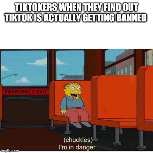Were in extreme danger | TIKTOKERS WHEN THEY FIND OUT TIKTOK IS ACTUALLY GETTING BANNED | image tagged in i'm in danger | made w/ Imgflip meme maker