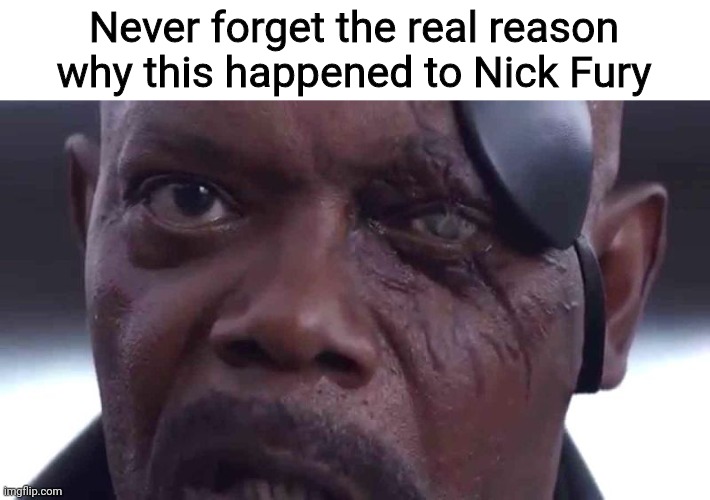 He trusted that Flerken! | Never forget the real reason why this happened to Nick Fury | image tagged in nick fury eye,marvel,marvel cinematic universe,mcu,captain marvel,captain america the winter soldier | made w/ Imgflip meme maker