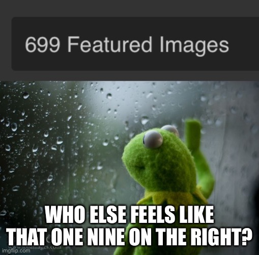 Lonely | WHO ELSE FEELS LIKE THAT ONE NINE ON THE RIGHT? | image tagged in kermit window | made w/ Imgflip meme maker